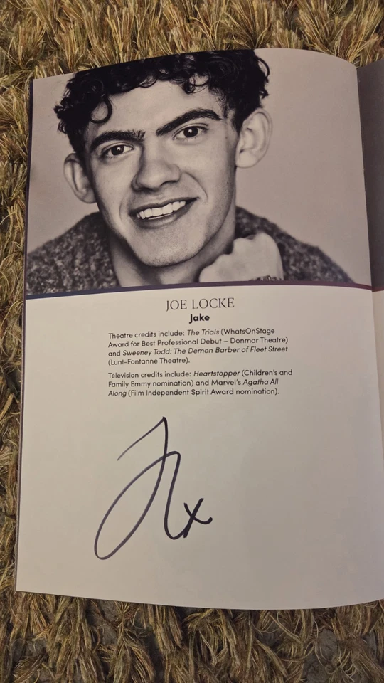 CLARKSTON LONDON THEATRE PROGRAMME SIGNED CAST JOE LOCKE HEARTSTOPPERS - Image 2 of 4