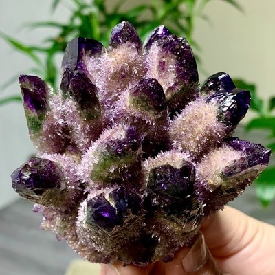 628G Newly discovered purple phantom crystal quartz cluster mineral sample
