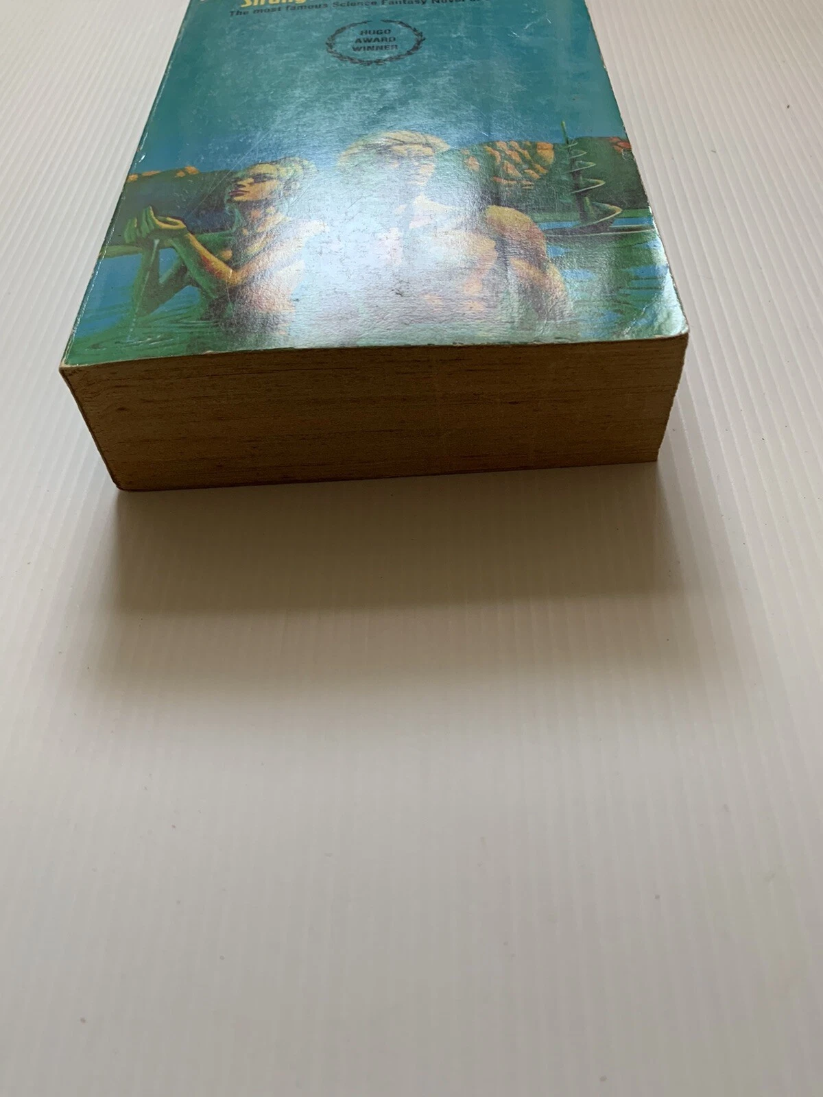 Picture 3 of 8