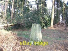 Photo 6x4 Trig Point in Redlands Wood Mid Holmwood  c2007