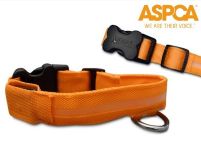 ASPCA LED Nighttime Safety Collar - LARGE - Orange (with batteries included)