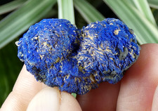 Beau Nodule double Azurite Chessylite Chessy les Mines 3cm France collection
