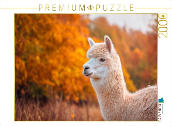 Calvendo Puzzle Alpaca - Golden Autumn | 2000 Pieces, Finished Size 35.4 × 26.4-image