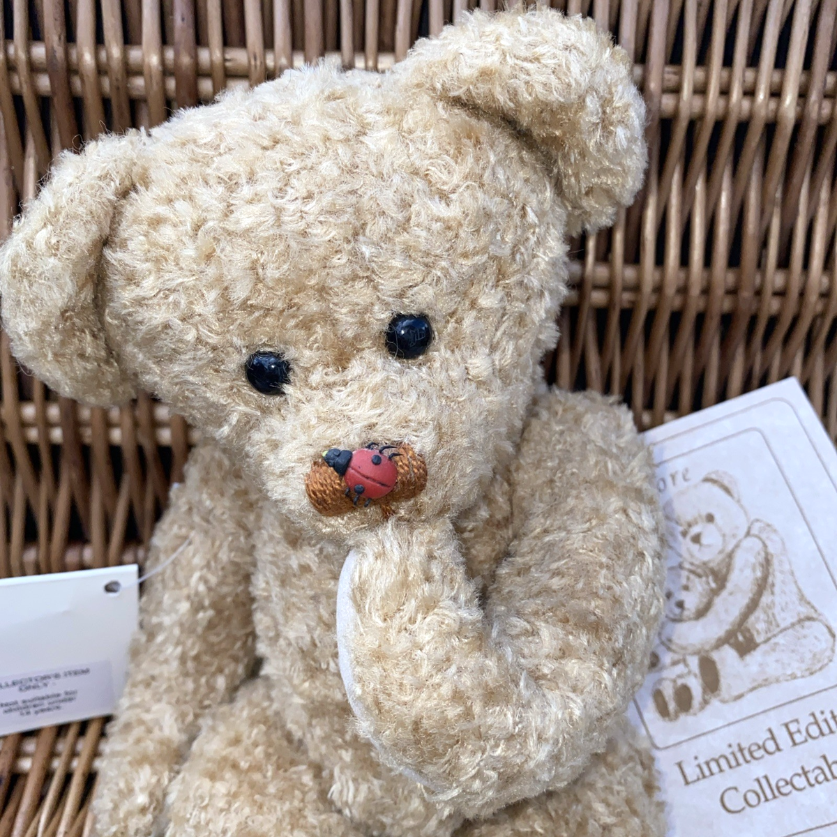 Bransgore Bears 
