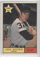 Joe Hicks