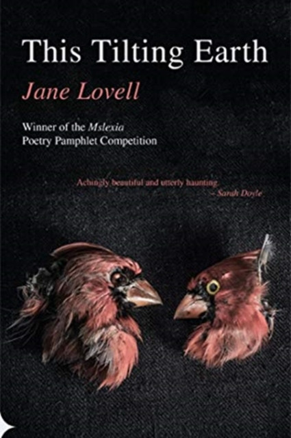 This Tilting Earth by Jane Lovell (Paperback Book)