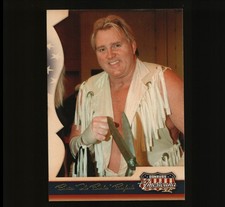 2008 Donruss Americana #153 Brutus 