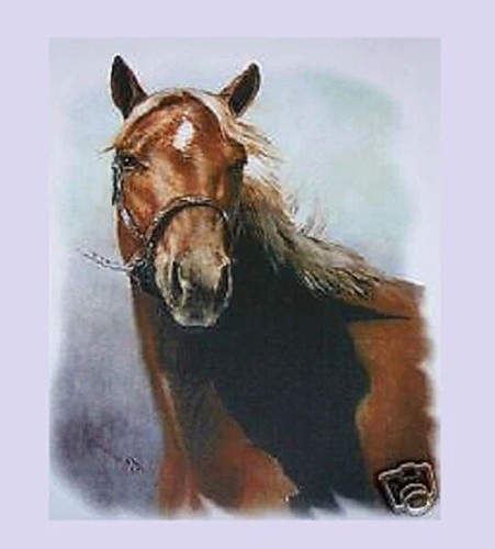 Horse Variety T Shirt Transfer Print for Application with HEAT PRESS MACHINE - Picture 5 of 17