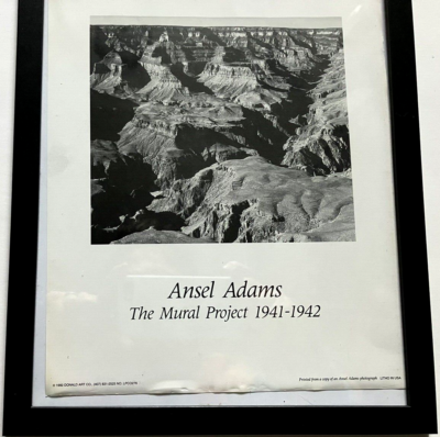 Ansel Adams The Mural Project 8x10 Framed Grand Canyon Shadows
