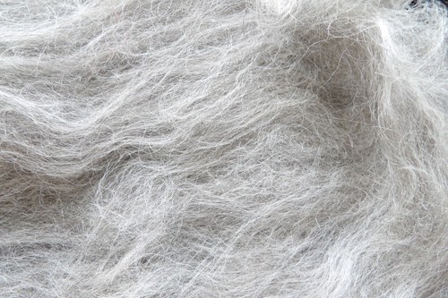 Light Grey Wolf Blend Carded Wool Batt Undyed Natural Shetland Wool Felt Spin - Picture 5 of 8
