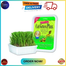 Miracle Care Cat-A'bout Cat Grass For Indoor Cats, 5.25 oz, Cat Grass Growing