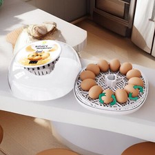 Incubators for Hatching Eggs, 12 Egg with Automatic and Humidity Control