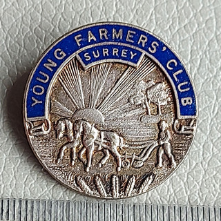 Young Farmers' Club Surrey Enamel Badge Pin Club & Association
