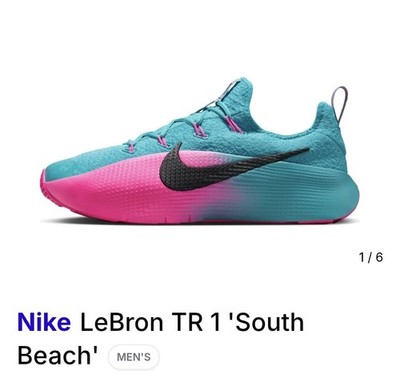 Nike Lebron TR 1 Dusty Cactus Black Pink Blast (FJ6151 301) Men's Size 10.5 NWOB