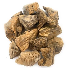 Fossil Coral - Rough Rocks for Tumbling - Wholesale Stone Crystal (Indonesia)