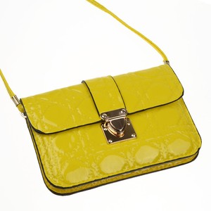 iphone 12 pro max purse