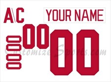 NCAA Ohio State Buckeyes Customized Number Kit For 2021-2024 3rd Hockey Uniform