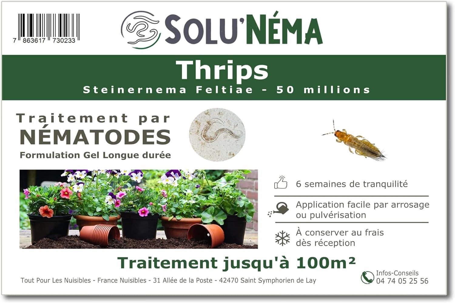 Nématodes contre les thrips SOLUNEMA action prolongée de 50 millions de prédateurs