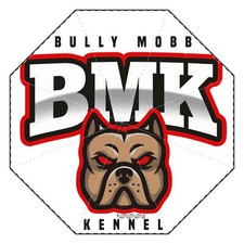 Semi-Automatic Foldable Umbrella