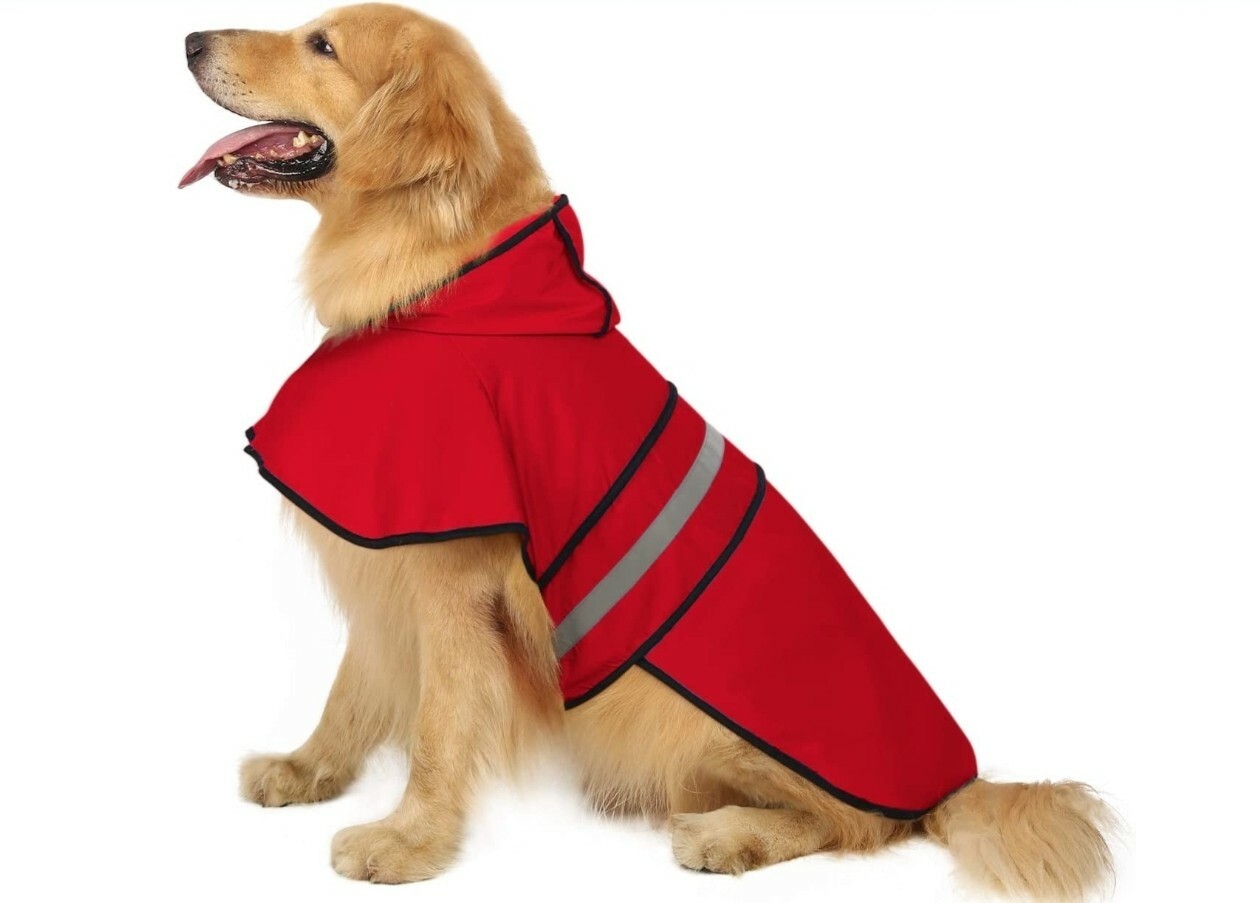 petbarn raincoat