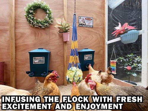Automatic Port Chicken Feeder and Cup Waterer Set - Chicken Coop Accessories,... - Picture 8 of 10