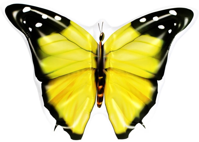 butterfly pool float