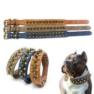 small pet collars