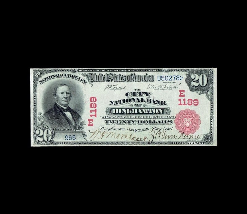 ULTRA RARE 1902 $20 RED SEAL NATIONAL CURRENCY BINGHAMTON, N Y SUPERB EXTRA FINE