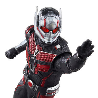Marvel Legends Ant-Man Quantumania 6-Inch Ant-Man Action Figure | eBay