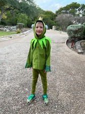 Halloween costume prince frog for boys size 6-7