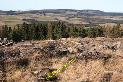 Foto 6x4 Kahlschlag Wald Cairnie\/NJ4844 Kahlschlagflächen immer l c2015
