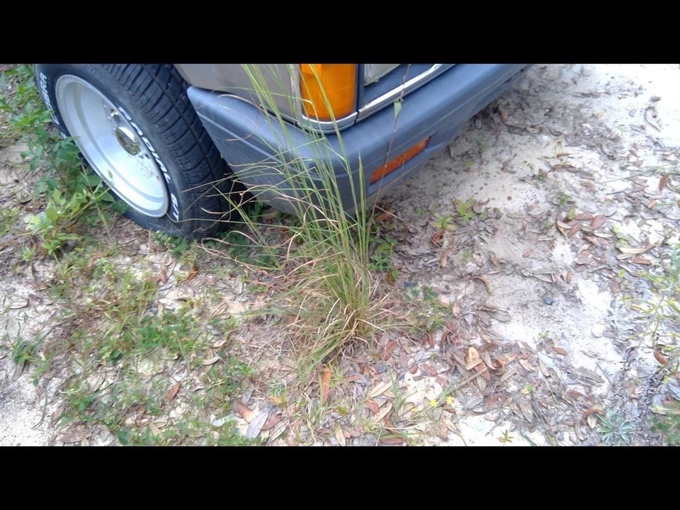 Driver Side View Mirror Manual Sail Mount Fits 87-96 MITSUBISHI PICKUP 1149032 - Image 2 of 4