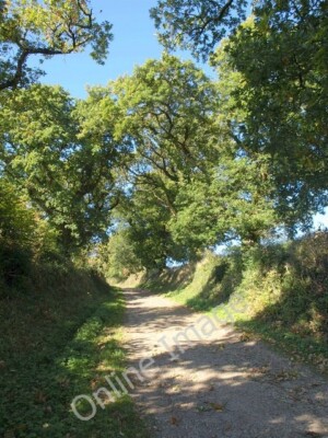 Photo 6x4 Tarka Trail Okehampton The trail follows Okehampton Hamlets Foo c2010