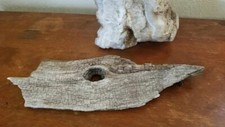 Natural Rustic Oak Knothole for crafts taxidermy display wall hanging decor