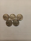Lot Of 5 Buffalo Nickels