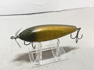 Creek chub Fintail Shiner | eBay