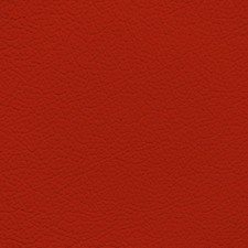 GM Victory Red Leather Dye
