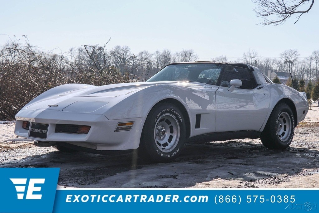 1981 Chevrolet Corvette for sale in Fort Lauderdale Florida
