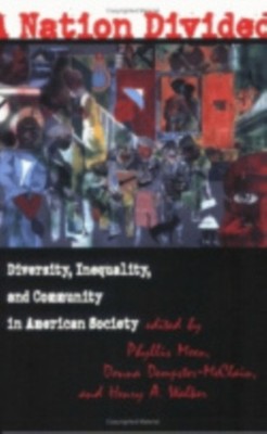 A Nation Divided   Diversity, Inequality, and Community in American Society Moen