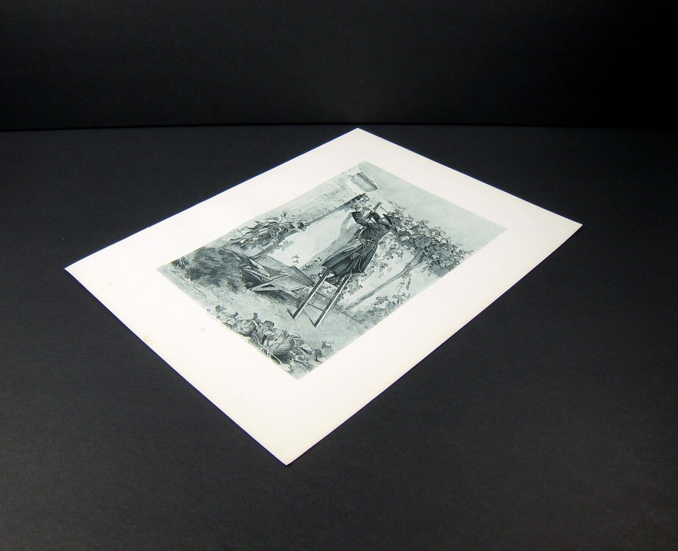 Abbe Constantin Catholic clergyman France 1892 photogravure antique art