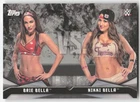 2016 Topps WWE Divas Revolution Rivalries Brie Bella vs. Nikki Bella #7