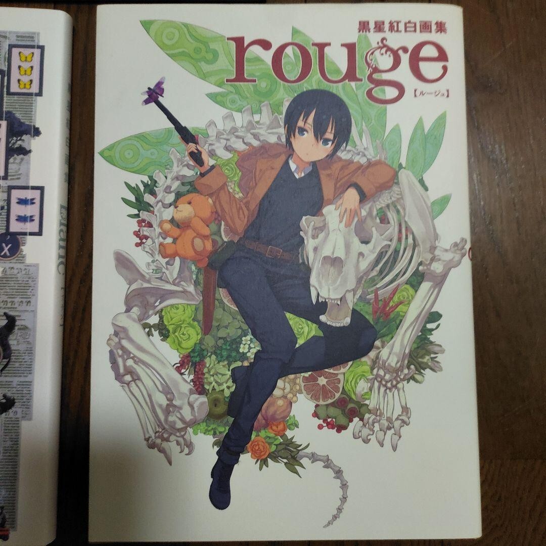 Kuroboshi Kouhaku Art Works Book noir & rouge & blanc World