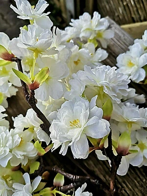 FLORISSIMA 3 x Kirschblüten Seidenblumen Weiß Künstliche Kirschblütenzweige Zweige 41cm