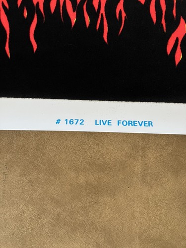 NEW Vintage Skull Blacklight Poster Who Wants To Live Forever? Scorpio Posters - Picture 4 of 7