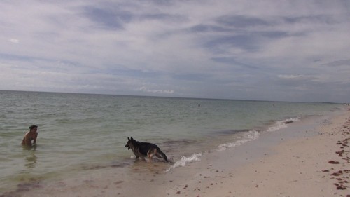 "VIRTUAL BEACH WALKS" FOR EXERCISE, HEALTH, & WELLNESS, 3 Disk DVD set - Imagen 3 de 12