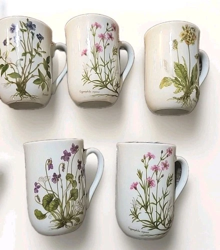 8 Portmeirion Botanic Garden Mug Coffee Tea Floral Flowers  Kitchen England Gift