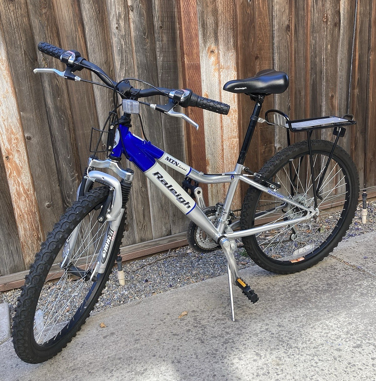 Raleigh 2002, 21 Speed MTN Scout Girls 24" Mountain Bike w /