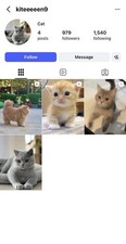 Instagram Page Business For Sale