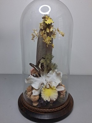 Vintage Taxidermy Butterfly,catapillar,bee & Flowers Glass Dome 12''