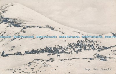 R047536 Norge Ren i Finmarken Eneret Mittet